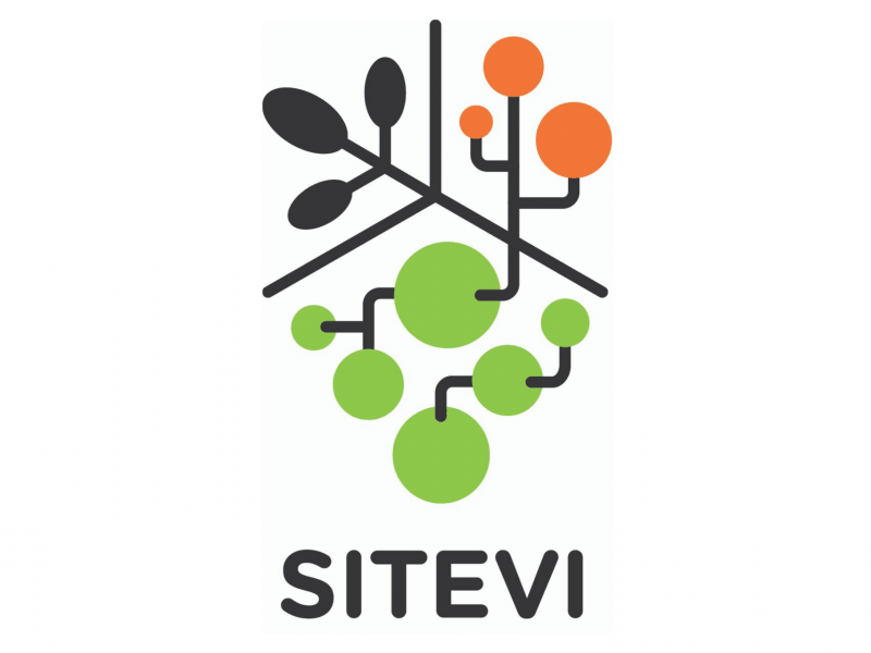sitevi2